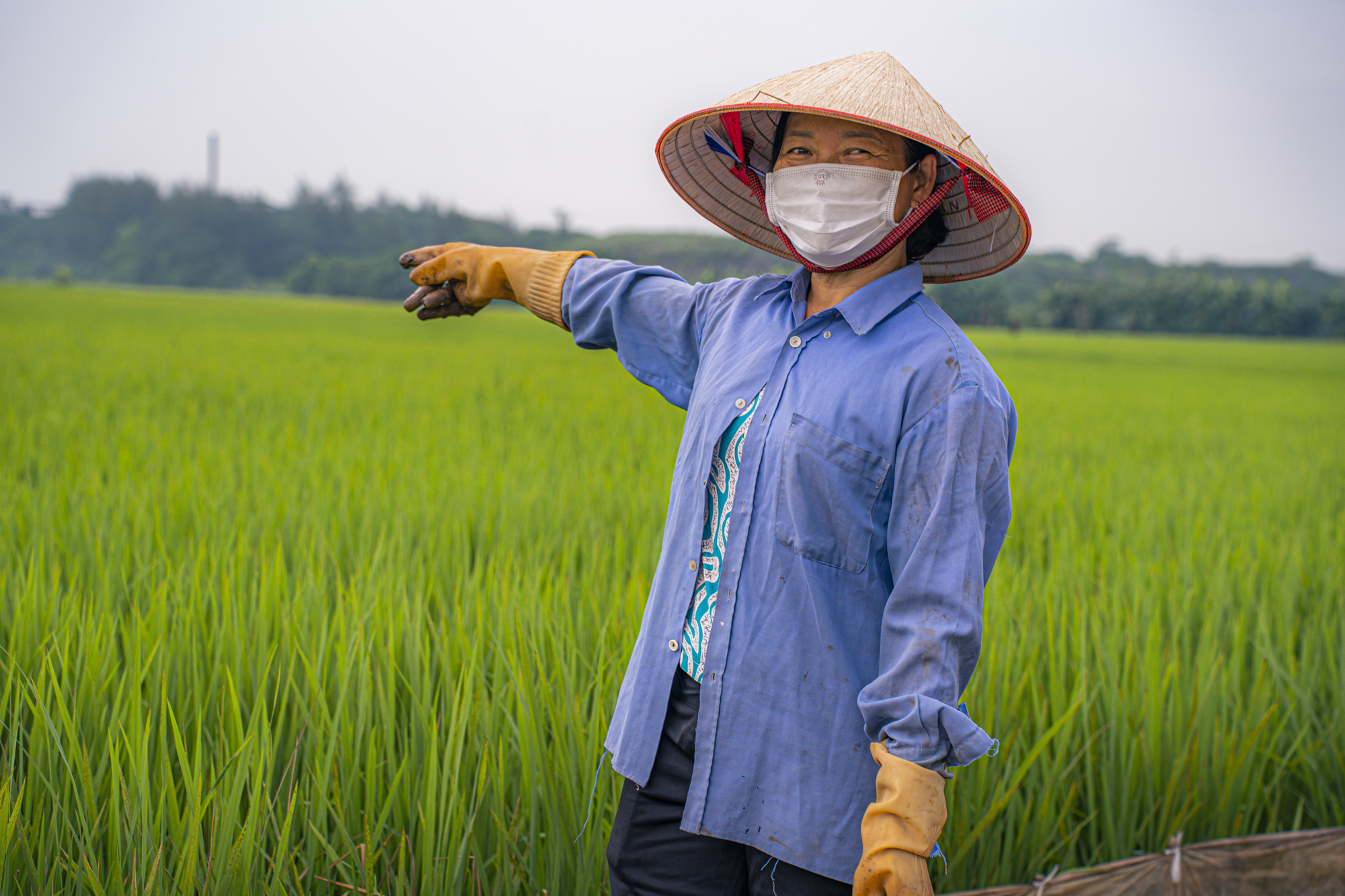 Toàn cảnh khu đất sẽ được đầu tư 8.000 tỷ để trở thành đại đô thị của Eurowindow tại Thái Bình- Ảnh 9.