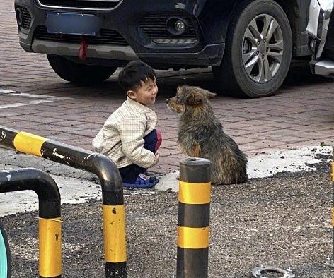 Giữa trưa không thấy con đâu, mẹ hốt hoảng chạy ra đường tìm rồi giật mình khi thấy cảnh tượng trước mắt- Ảnh 3.