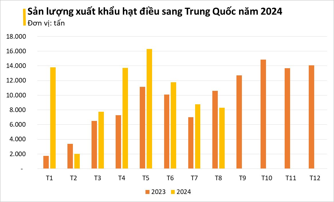 Không phải gạo, loại 'hạt vàng' này của Việt Nam được gần 1/2 thế giới chốt đơn: Mỹ, Trung Quốc mạnh tay săn lùng, giá lên đỉnh từ đầu năm- Ảnh 3.