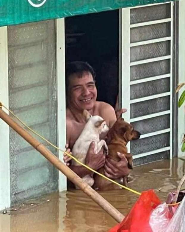 Hiện tượng lạ của chú chó bị lạc trong lũ lụt khi gặp được chủ khiến hàng triệu người tò mò- Ảnh 5. Hiện tượng lạ của chú chó bị lạc trong lũ lụt khi gặp được chủ khiến hàng triệu người tò mò- Ảnh 5.