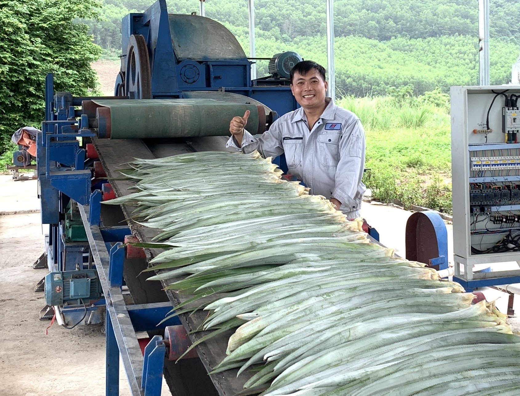 Lần đầu tiên: Sản xuất vải từ lá dứa quy mô lớn, cung cấp đại trà, biến 1 triệu tấn lá dứa thành 18 tấn tơ, vải sinh thái mỗi tháng, dự kiến sản lượng sẽ tăng lên 50 tấn/tháng vào cuối 2025- Ảnh 2.