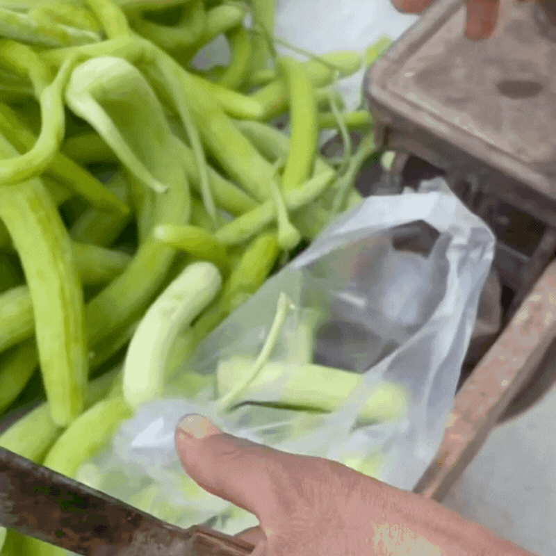 Hoảng hồn cảnh chàng trai quàng đầy "rắn xanh" vào người nhưng lại cười tươi: Sự thật là gì?- Ảnh 11. Hoảng hồn cảnh chàng trai quàng đầy "rắn xanh" vào người nhưng lại cười tươi: Sự thật là gì?- Ảnh 11.