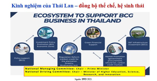 TS. Cấn Văn Lực: Việt Nam đi sau, nhưng vẫn có nhiều cơ hội để phát triển kinh tế tuần hoàn- Ảnh 2.