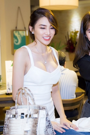 Chiếc túi Hermès bà Trương Mỹ Lan tiếc nuối: 7 năm trước khiến showbiz Việt loạn lạc vì drama "auth - fake"- Ảnh 13. Chiếc túi Hermès bà Trương Mỹ Lan tiếc nuối: 7 năm trước khiến showbiz Việt loạn lạc vì drama "auth - fake"- Ảnh 13.