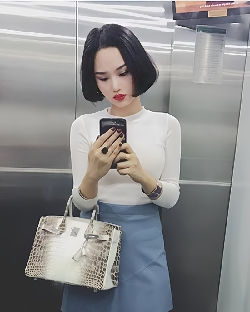 Chiếc túi Hermès bà Trương Mỹ Lan tiếc nuối: 7 năm trước khiến showbiz Việt loạn lạc vì drama "auth - fake"- Ảnh 14. Chiếc túi Hermès bà Trương Mỹ Lan tiếc nuối: 7 năm trước khiến showbiz Việt loạn lạc vì drama "auth - fake"- Ảnh 14.