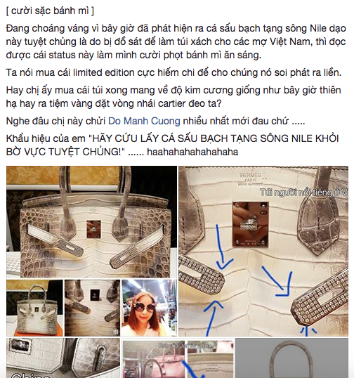 Chiếc túi Hermès bà Trương Mỹ Lan tiếc nuối: 7 năm trước khiến showbiz Việt loạn lạc vì drama "auth - fake"- Ảnh 8. Chiếc túi Hermès bà Trương Mỹ Lan tiếc nuối: 7 năm trước khiến showbiz Việt loạn lạc vì drama "auth - fake"- Ảnh 8.
