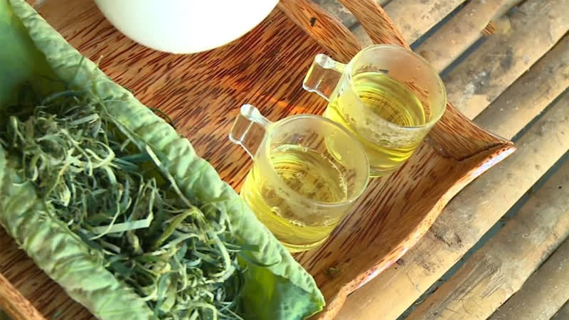 Loại lá Việt Nam trồng nhiều, hạ mỡ máu cực tốt: Ít người biết để dùng- Ảnh 1. Loại lá Việt Nam trồng nhiều, hạ mỡ máu cực tốt: Ít người biết để dùng- Ảnh 1.