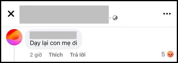 Mẹ Negav bị tấn công: Ai cho antifan cái quyền chà đạp người khác?- Ảnh 4.