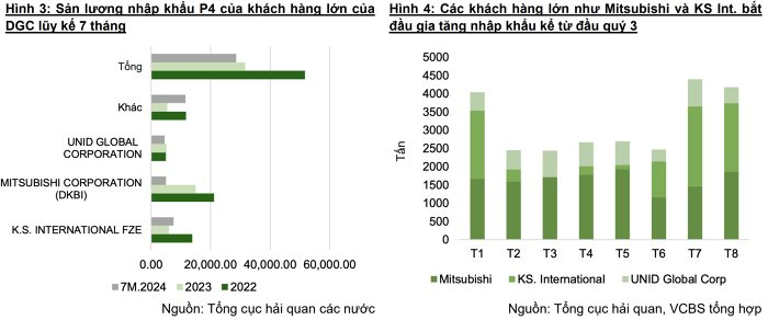 'Kho báu' Việt Nam có trữ lượng lớn thứ hai thế giới có thể đem về cho Hóa chất Đức Giang (DGC) 1,5 tỷ USD doanh thu?- Ảnh 2.