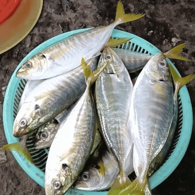 Cầm 500k đi chợ chiều Mân Thái Đà Nẵng: Giá không rẻ nhưng nhiều người đổ xô đến chợ vì lý do bất ngờ- Ảnh 3. Cầm 500k đi chợ chiều Mân Thái Đà Nẵng: Giá không rẻ nhưng nhiều người đổ xô đến chợ vì lý do bất ngờ- Ảnh 3.