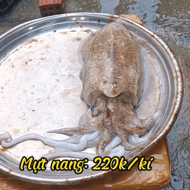 Cầm 500k đi chợ chiều Mân Thái Đà Nẵng: Giá không rẻ nhưng nhiều người đổ xô đến chợ vì lý do bất ngờ- Ảnh 9. Cầm 500k đi chợ chiều Mân Thái Đà Nẵng: Giá không rẻ nhưng nhiều người đổ xô đến chợ vì lý do bất ngờ- Ảnh 9.