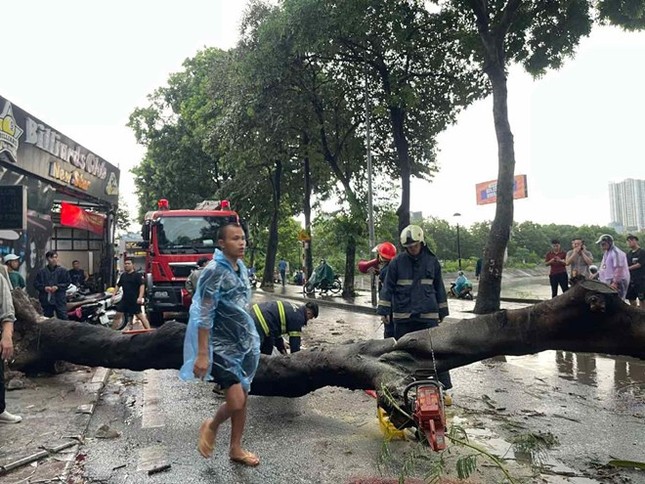 Hà Nội ghi nhận hơn 300 cây gãy, đổ trong bão số 3- Ảnh 1.