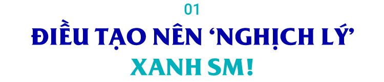 CEO Xanh SM tiết lộ những chỉ số ‘phát triển như Thánh Gióng’ và bí mật vận hành siêu tốc của tân binh gọi xe công nghệ- Ảnh 1.