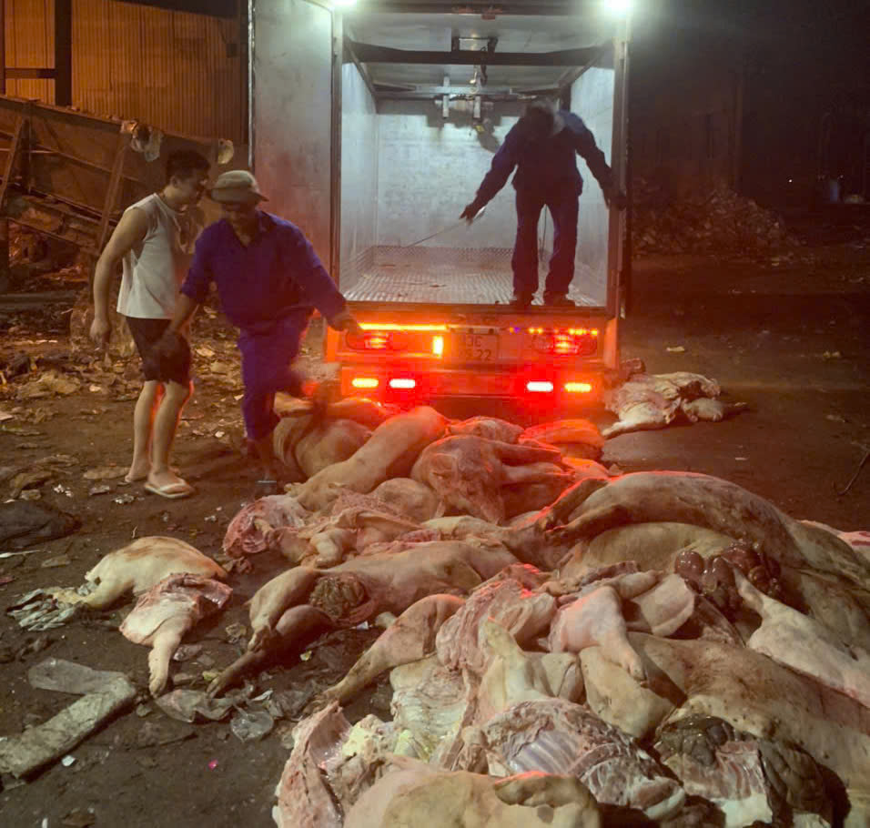 Lén lút trữ hơn 1,7 tấn heo chết chờ bán dịp Tết- Ảnh 1. Lén lút trữ hơn 1,7 tấn heo chết chờ bán dịp Tết- Ảnh 1.