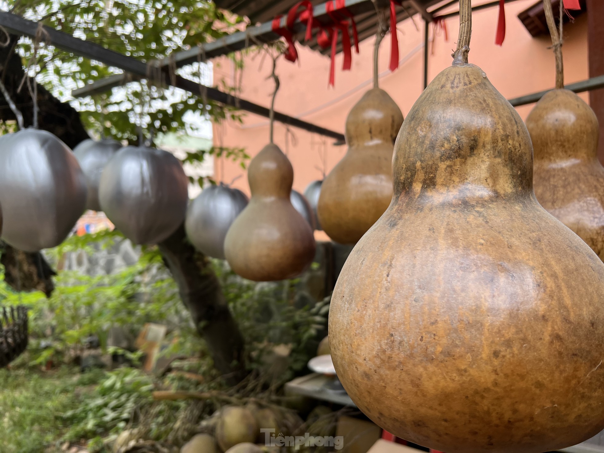 Mặt hàng Tết mà người sản xuất đã dừng nhận đơn hàng cả tháng vì… làm không xuể- Ảnh 3.