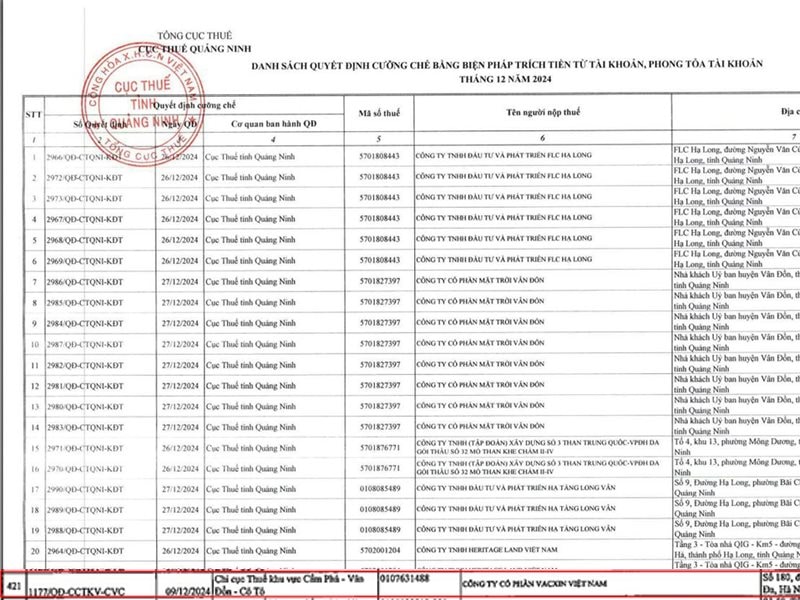 Một công ty hoạt động trong lĩnh vực y tế tại Quảng Ninh bị cưỡng chế thuế- Ảnh 2.