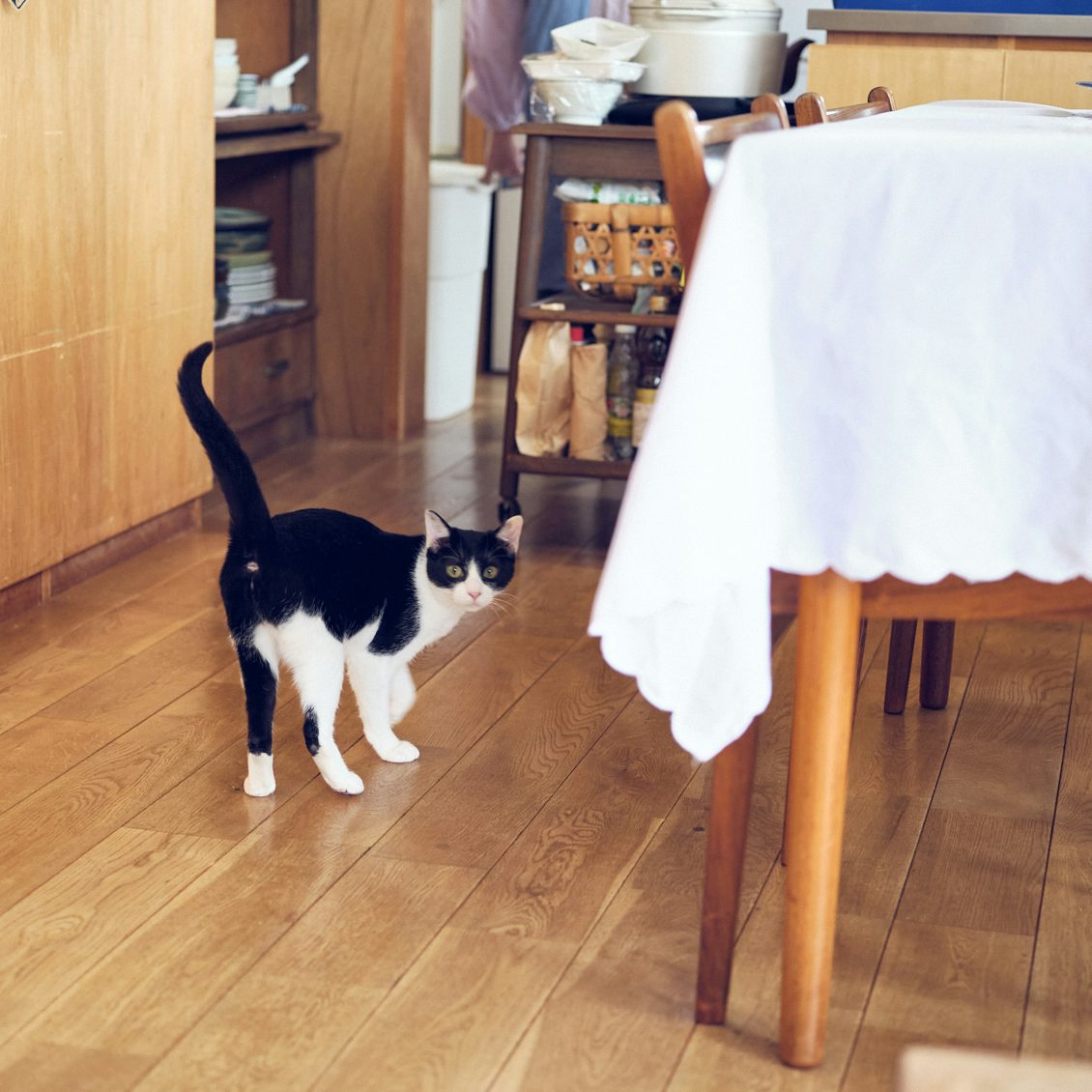 Sau 6 tháng sống tối giản, tôi vô cùng bất ngờ khi cận Tết nhà tôi đã có 1 Sau 6 tháng sống tối giản, tôi vô cùng bất ngờ khi cận Tết nhà tôi đã có 1