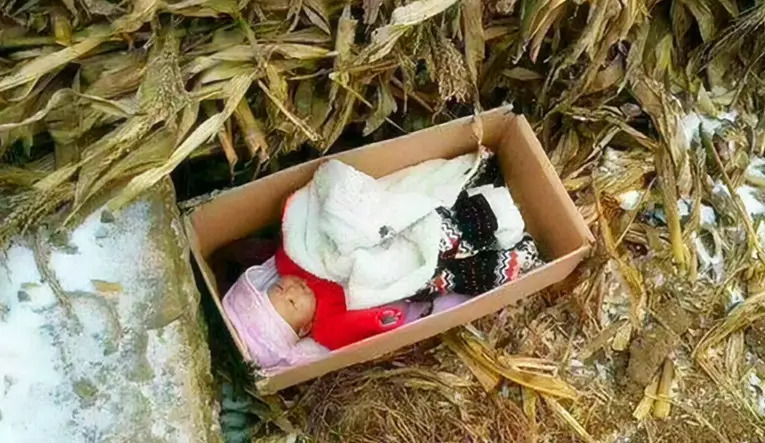 Mẹ bỏ đi, bố bị tâm thần bỗng một ngày đưa về nhà đứa em "nhặt được", người con trai rơi vào khó xử - Cú ngoặt thế kỷ xảy ra!- Ảnh 4. Mẹ bỏ đi, bố bị tâm thần bỗng một ngày đưa về nhà đứa em "nhặt được", người con trai rơi vào khó xử - Cú ngoặt thế kỷ xảy ra!- Ảnh 4.