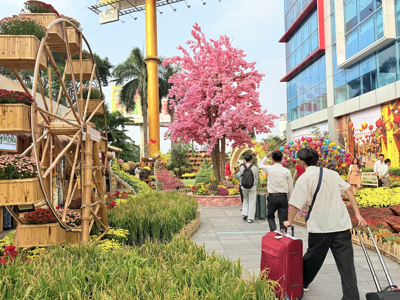 Khách ra sân bay Tân Sơn Nhất dịp này: Choáng ngợp với đường hoa đầu tư tới 4 tỷ đồng, dự sẽ là địa điểm check-in náo nhiệt dịp Tết- Ảnh 5.