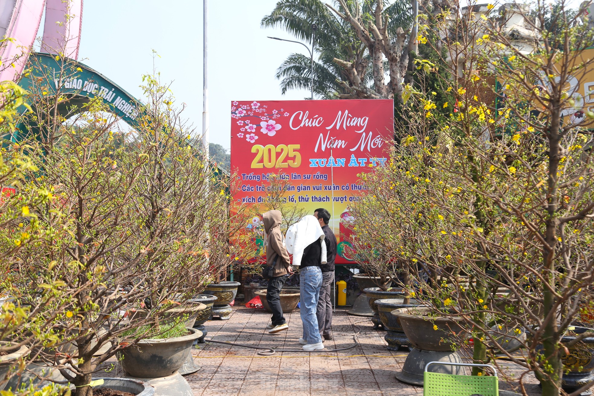 Dân buôn ngồi lướt điện thoại, đào quất Tết ế chỏng ế chơ- Ảnh 10.