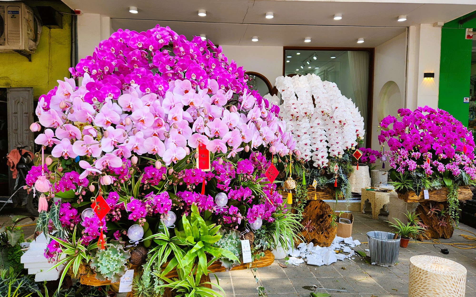 Kiếm cả trăm triệu đồng từ việc cắm hoa lan ngày Tết- Ảnh 8. Kiếm cả trăm triệu đồng từ việc cắm hoa lan ngày Tết- Ảnh 8.