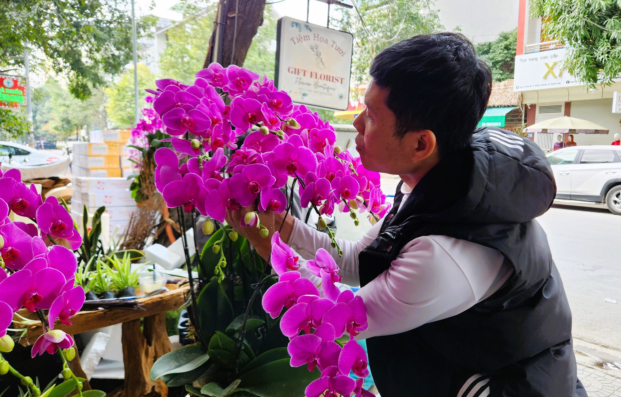 Kiếm cả trăm triệu đồng từ việc cắm hoa lan ngày Tết- Ảnh 5. Kiếm cả trăm triệu đồng từ việc cắm hoa lan ngày Tết- Ảnh 5.