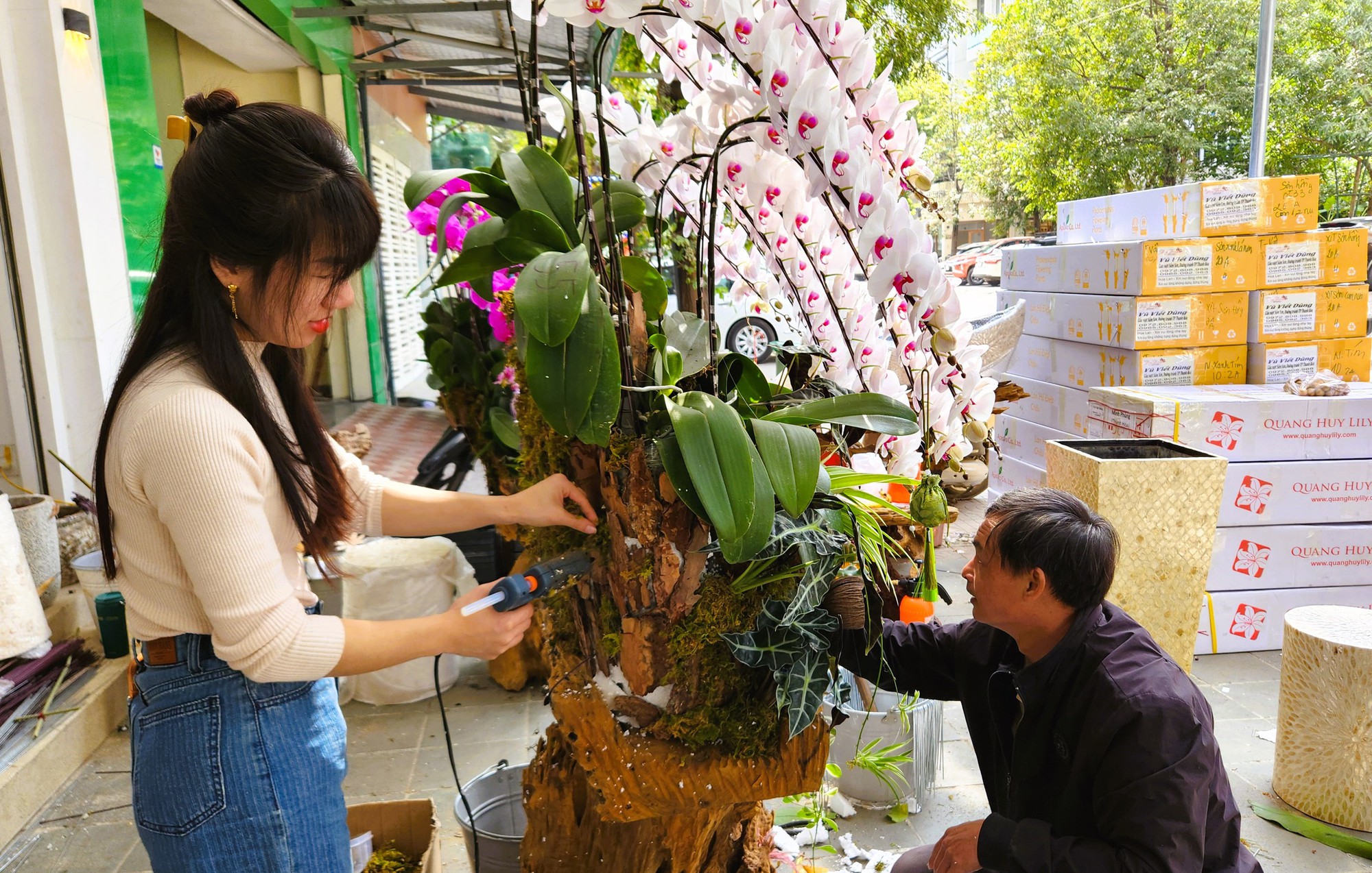 Kiếm cả trăm triệu đồng từ việc cắm hoa lan ngày Tết- Ảnh 6. Kiếm cả trăm triệu đồng từ việc cắm hoa lan ngày Tết- Ảnh 6.
