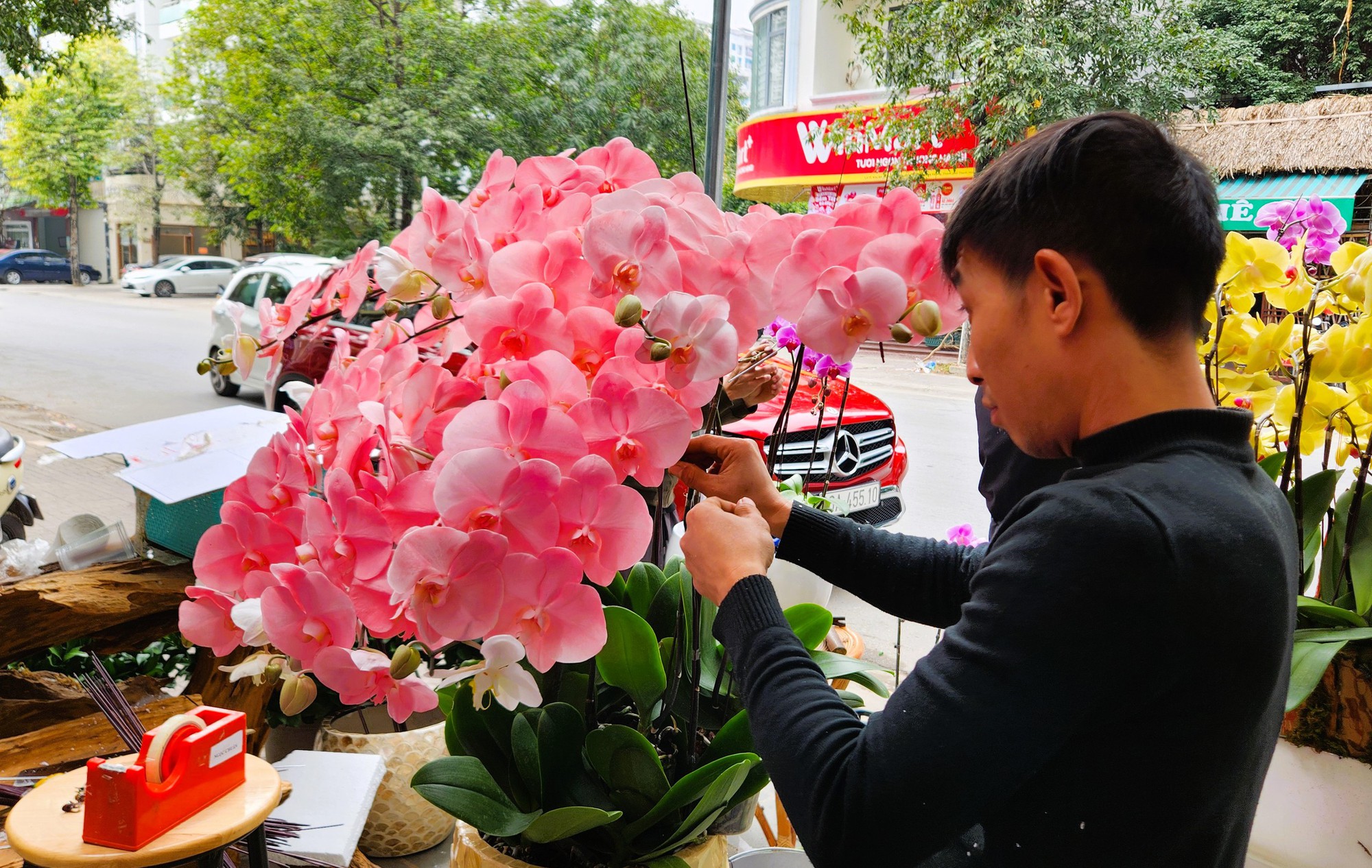 Kiếm cả trăm triệu đồng từ việc cắm hoa lan ngày Tết- Ảnh 7. Kiếm cả trăm triệu đồng từ việc cắm hoa lan ngày Tết- Ảnh 7.