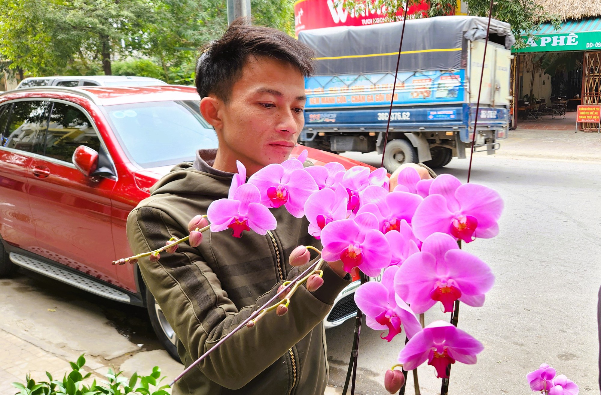 Kiếm cả trăm triệu đồng từ việc cắm hoa lan ngày Tết- Ảnh 4. Kiếm cả trăm triệu đồng từ việc cắm hoa lan ngày Tết- Ảnh 4.