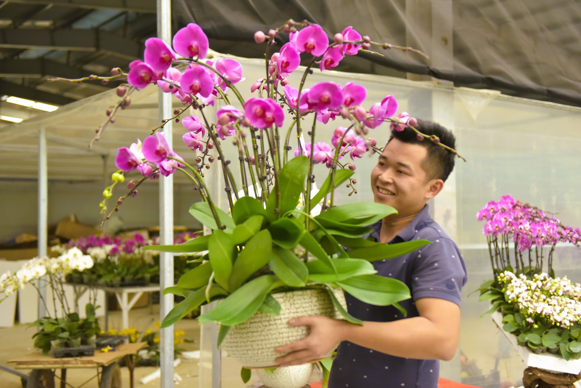 Kiếm cả trăm triệu đồng từ việc cắm hoa lan ngày Tết- Ảnh 3. Kiếm cả trăm triệu đồng từ việc cắm hoa lan ngày Tết- Ảnh 3.