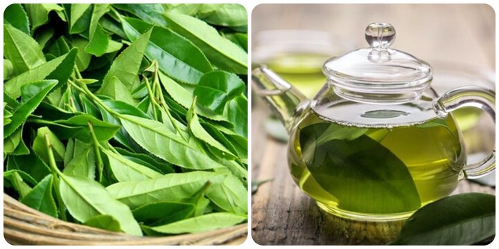 Tác hại nguy hiểm của chè xanh nếu uống sai cách- Ảnh 1. Tác hại nguy hiểm của chè xanh nếu uống sai cách- Ảnh 1.