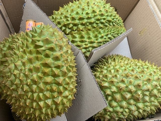 “Vua quả” Việt Nam được xuất khẩu trở lại Trung Quốc nhờ 1 tờ giấy: Nước ta có 7 nơi cấp giấy này- Ảnh 2.