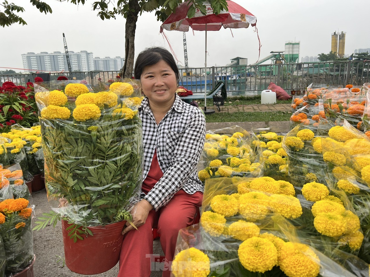Chợ hoa Tết giá 'mềm' hút khách có thu nhập thấp- Ảnh 3.