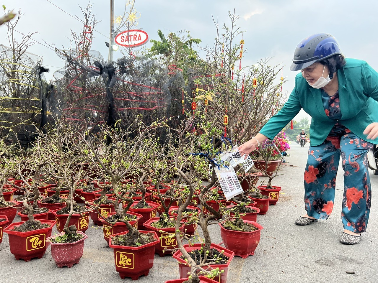 Chợ hoa Tết giá 'mềm' hút khách có thu nhập thấp- Ảnh 2.