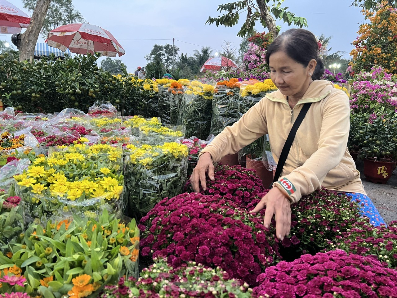 Chợ hoa Tết giá 'mềm' hút khách có thu nhập thấp- Ảnh 8.