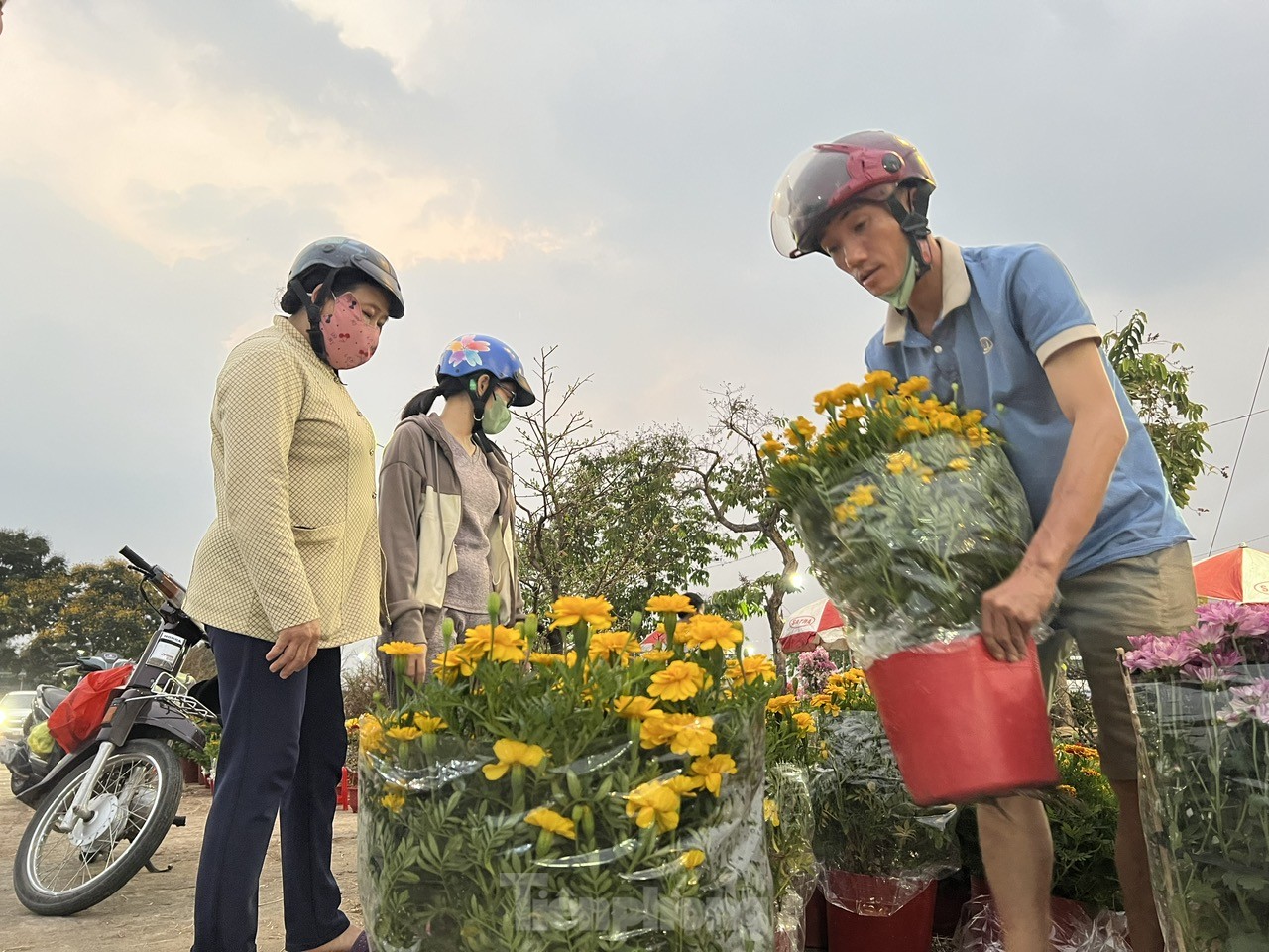 Chợ hoa Tết giá 'mềm' hút khách có thu nhập thấp- Ảnh 1.
