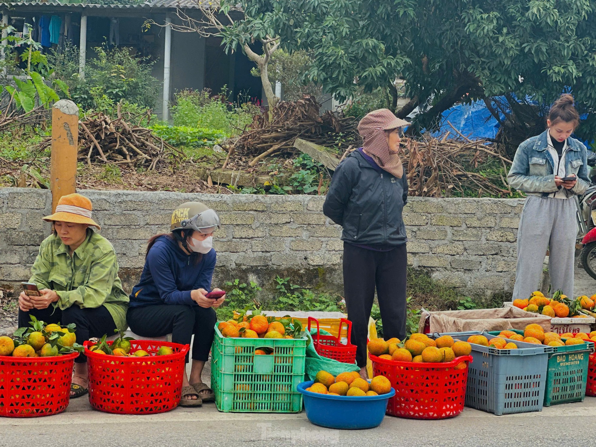 Thủ phủ cam bù vàng rực, bung hàng ngày Tết- Ảnh 1.