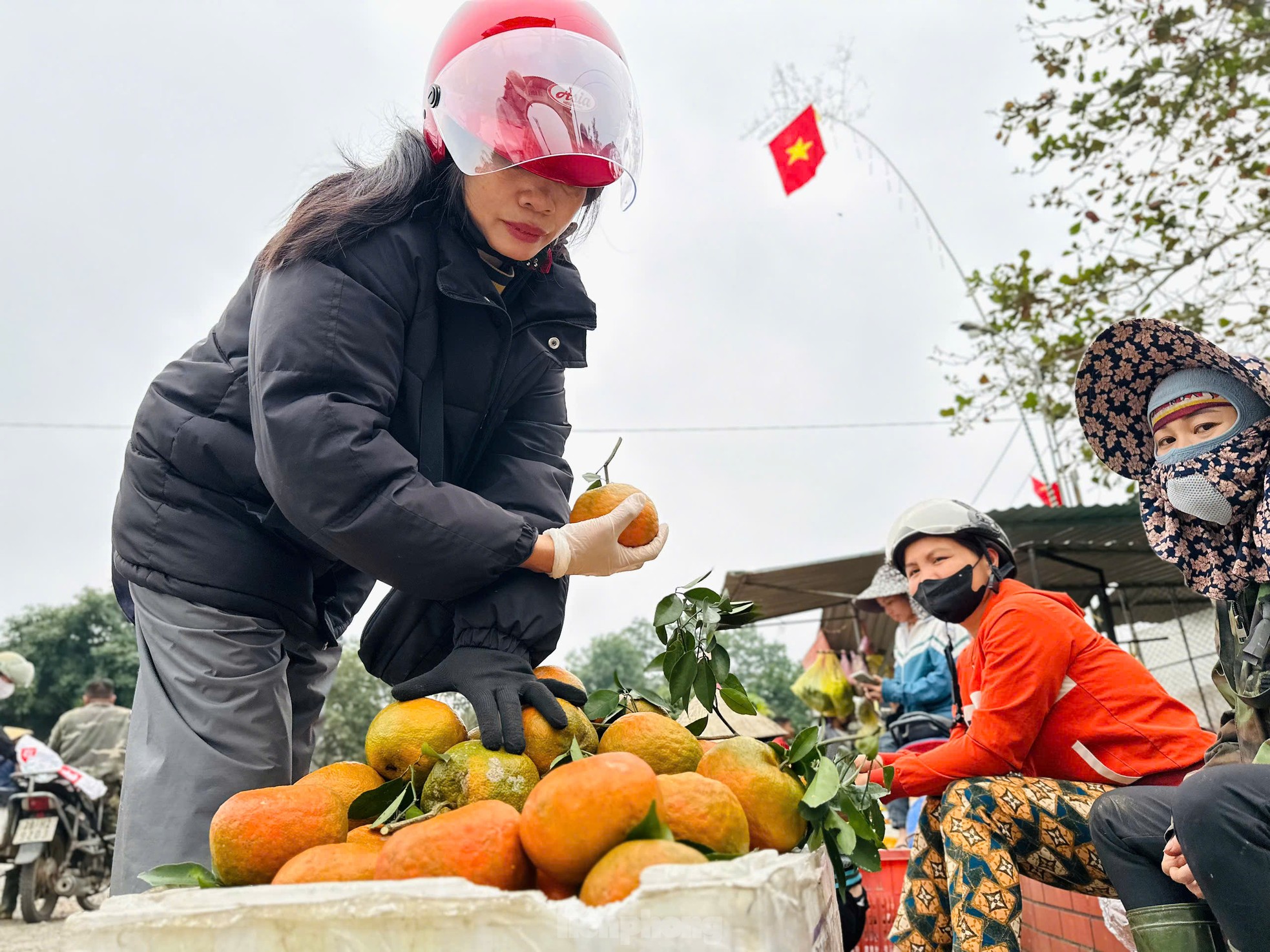 Thủ phủ cam bù vàng rực, bung hàng ngày Tết- Ảnh 3.