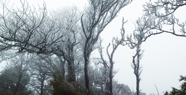 Nhiệt độ giảm mạnh, băng giá xuất hiện trên đỉnh Phia Oắc- Ảnh 1.