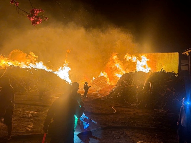 Lửa bốc cháy dữ dội tại công ty phân bón Đắk Lắk- Ảnh 1.