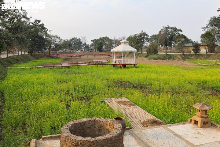 Từ bãi hoang tàn sau siêu bão Yagi, vườn hoa nổi tiếng ở Hà Nội giờ ra sao?- Ảnh 2.