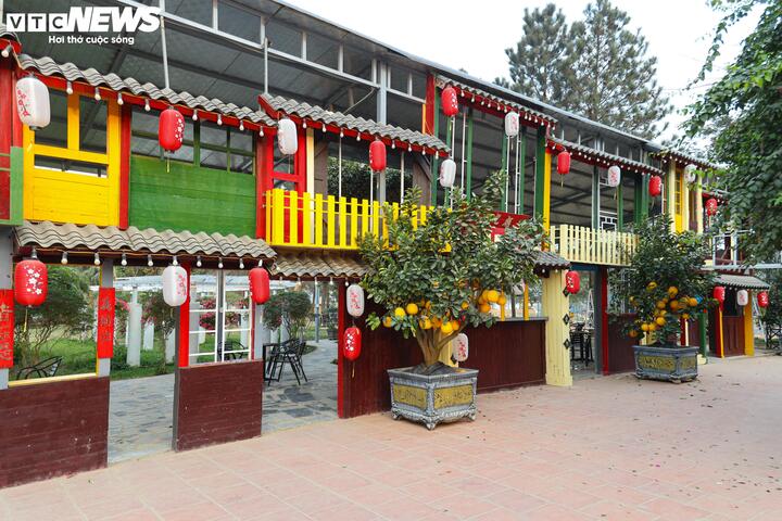 Từ bãi hoang tàn sau siêu bão Yagi, vườn hoa nổi tiếng ở Hà Nội giờ ra sao?- Ảnh 8.