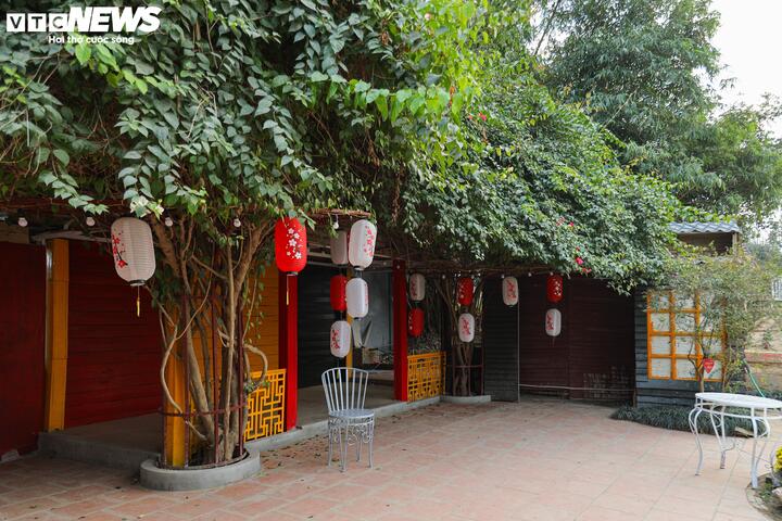 Từ bãi hoang tàn sau siêu bão Yagi, vườn hoa nổi tiếng ở Hà Nội giờ ra sao?- Ảnh 9.