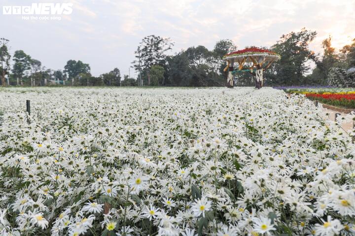 Từ bãi hoang tàn sau siêu bão Yagi, vườn hoa nổi tiếng ở Hà Nội giờ ra sao?- Ảnh 15.