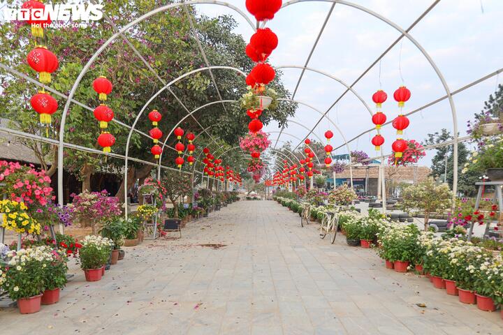 Từ bãi hoang tàn sau siêu bão Yagi, vườn hoa nổi tiếng ở Hà Nội giờ ra sao?- Ảnh 3.