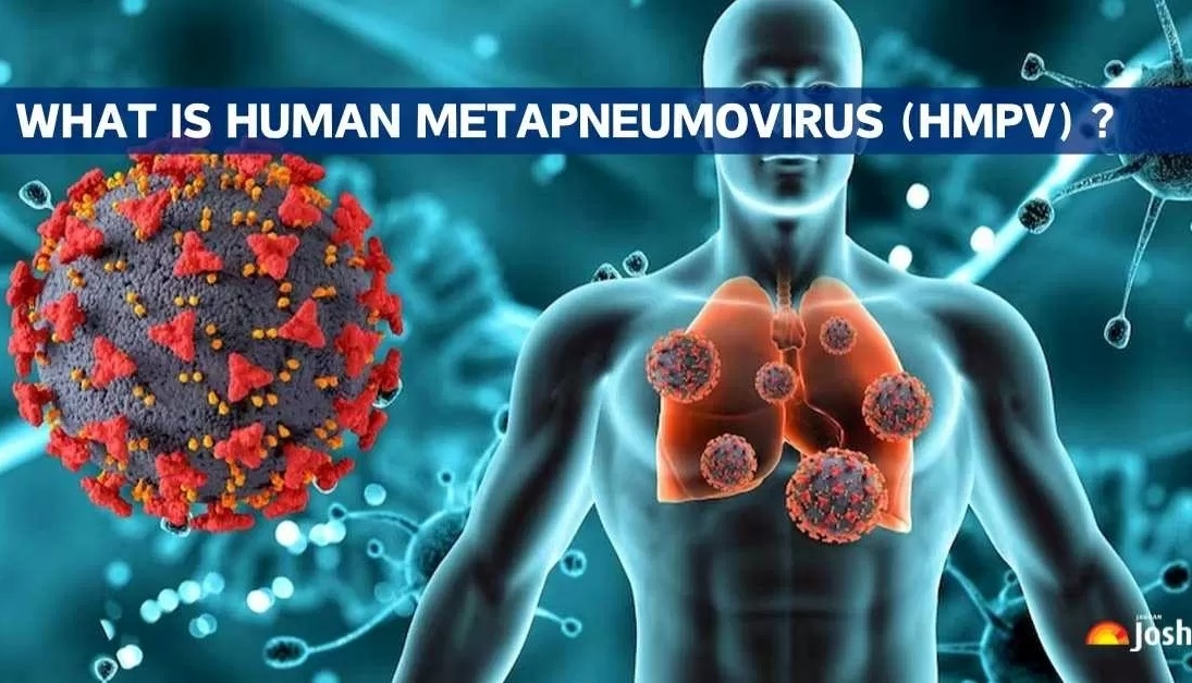 Virus HMPV giống Covid-19 lây kéo dài ở Trung Quốc khi chưa có thuốc điều trị- Ảnh 1.