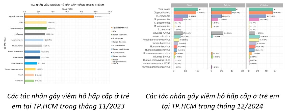 Virus gây bệnh hô hấp ở Trung Quốc từng được ghi nhận tại TP HCM- Ảnh 1.