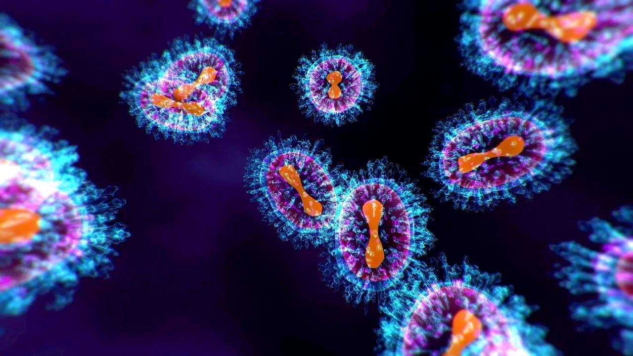 WHO xác nhận HMPV không phải virus mới: Làm thế nào để nhận biết bệnh?- Ảnh 1.