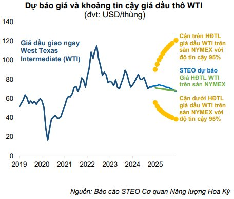 Sở hữu công cụ chuyên đào “kho báu” ngoài khơi, doanh nghiệp Việt làm không hết việc, "siêu dự án" 12 tỷ USD mở ra triển vọng dài hạn- Ảnh 2.