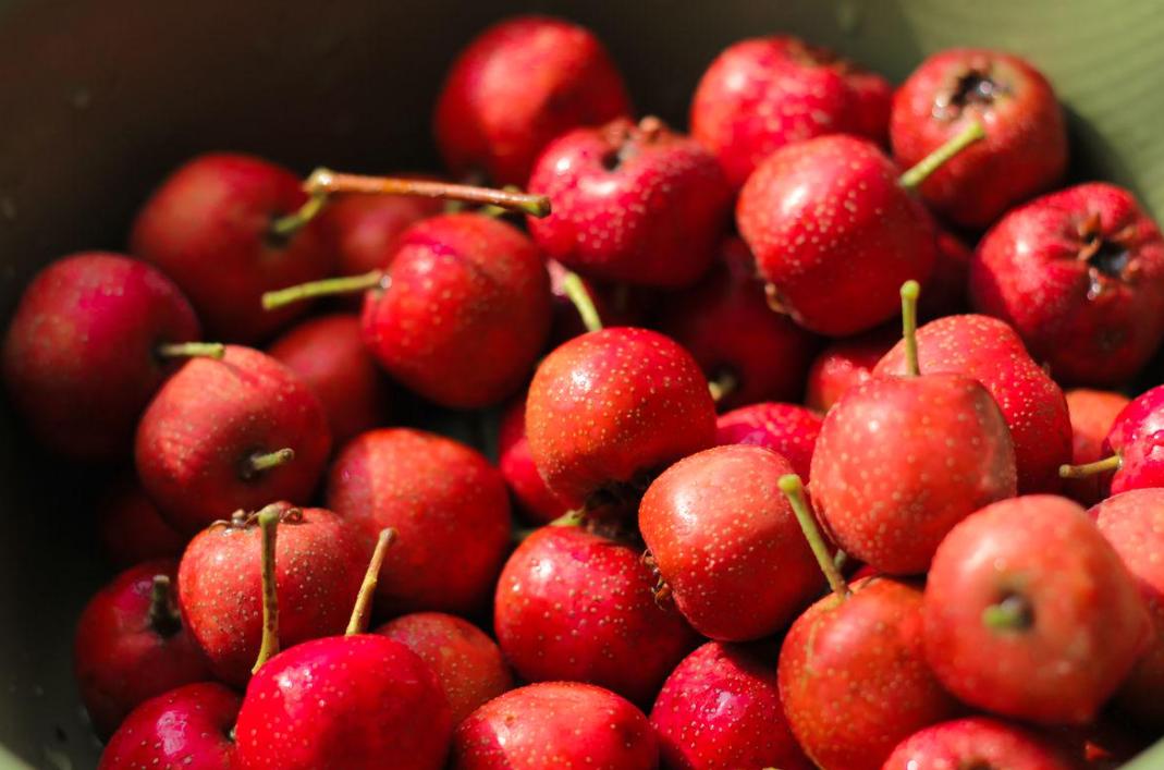 Nấu táo với thứ này tạo thành "thần dược giảm mỡ tự nhiên": Vừa hết hôi miệng vừa quét bỏ mỡ bụng - Ảnh 3. Nấu táo với thứ này tạo thành "thần dược giảm mỡ tự nhiên": Vừa hết hôi miệng vừa quét bỏ mỡ bụng - Ảnh 3.